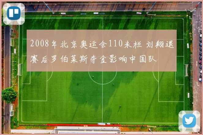 2008年北京奥运会110米栏 刘翔退赛后罗伯莱斯夺金影响中国队