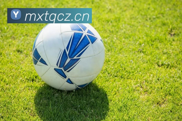 乐鱼(中国)leyu·官方网站 - 科技股份有限公司APP 封面图